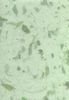 Dry Green Leaf