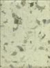 Dry Hunter Green Leaf