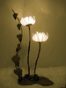 Flat Water Lily Up 2