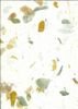 Green/Brown Dry Leaf